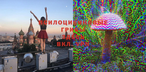 хмурый Алексеевка