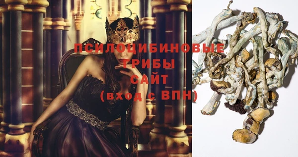 эйфоретик Алексин