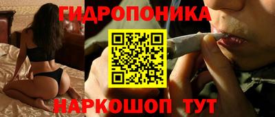 прущие крисы Тверь