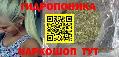 крисы Татарск