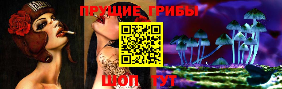 Псилоцибиновые грибы Psilocybe Обнинск
