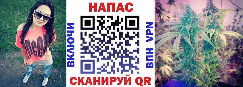 Бошки Шишки планчик  купить закладку  Обнинск 