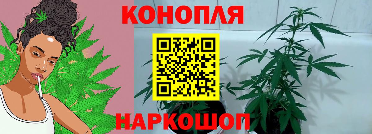 МАРИХУАНА гибрид Обнинск